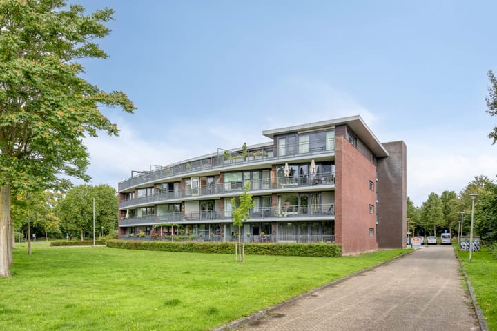 Foto 1 van Koraal 142