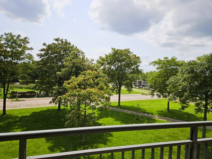 Foto 3 van Koraal 142