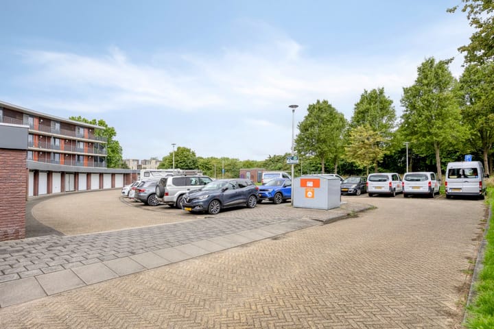 Foto 21 van Koraal 142