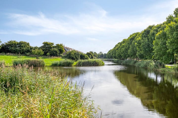 Foto 25 van Koraal 142