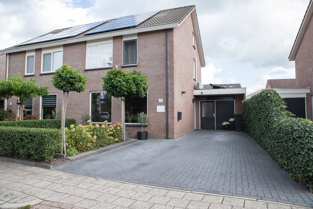 Foto 2 van Hoefblad 10