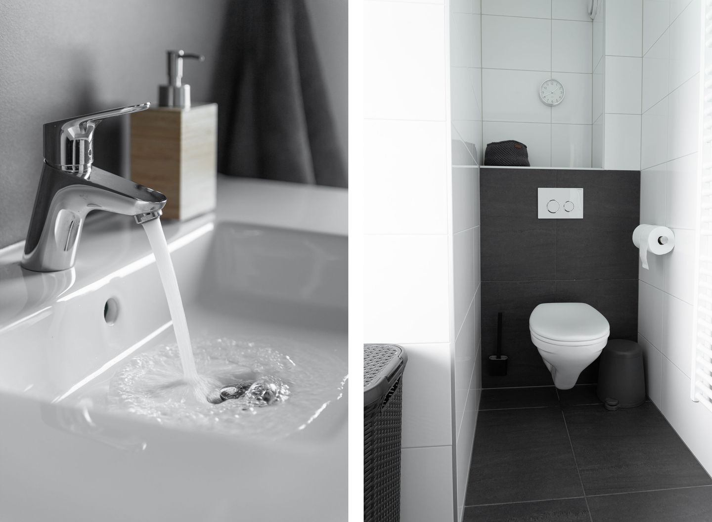 Foto 20 van Hoefblad 10