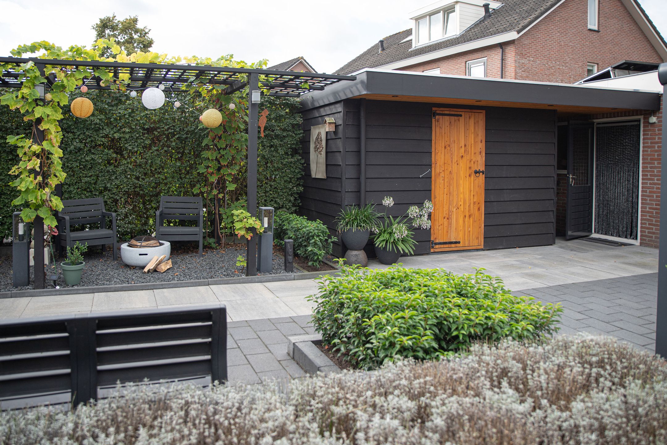 Foto 30 van Hoefblad 10