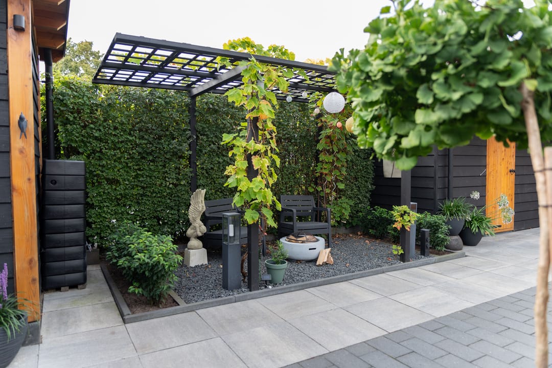 Foto 31 van Hoefblad 10