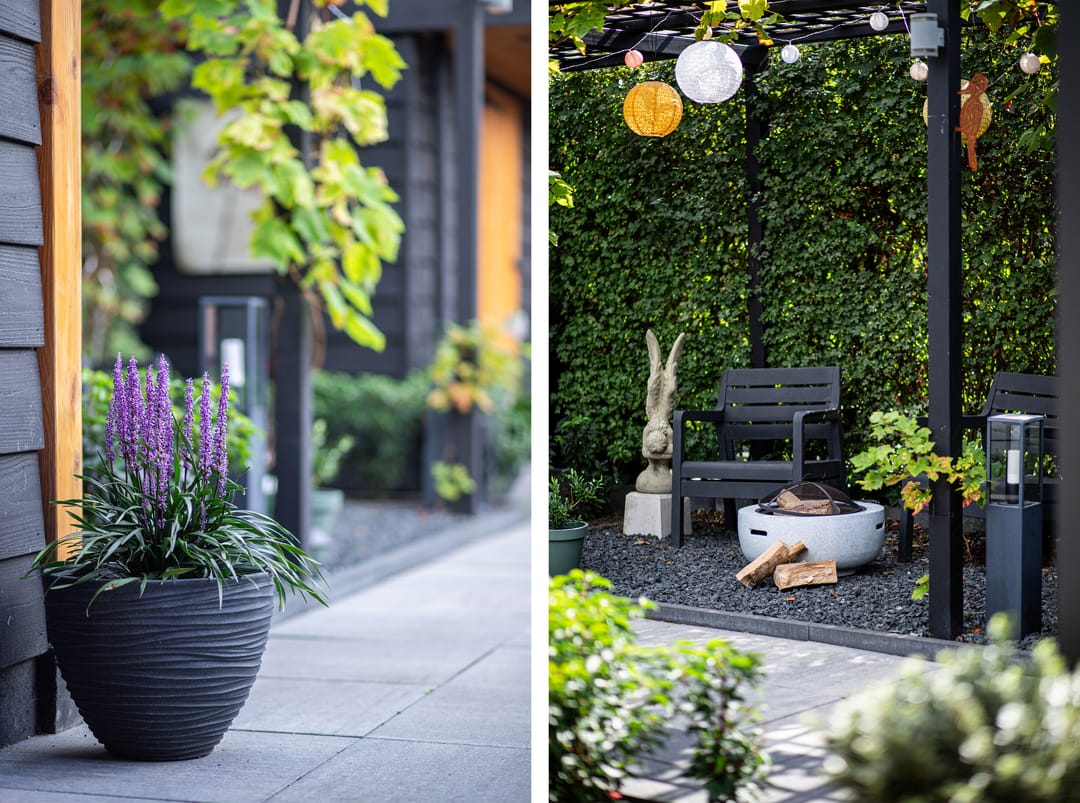 Foto 32 van Hoefblad 10