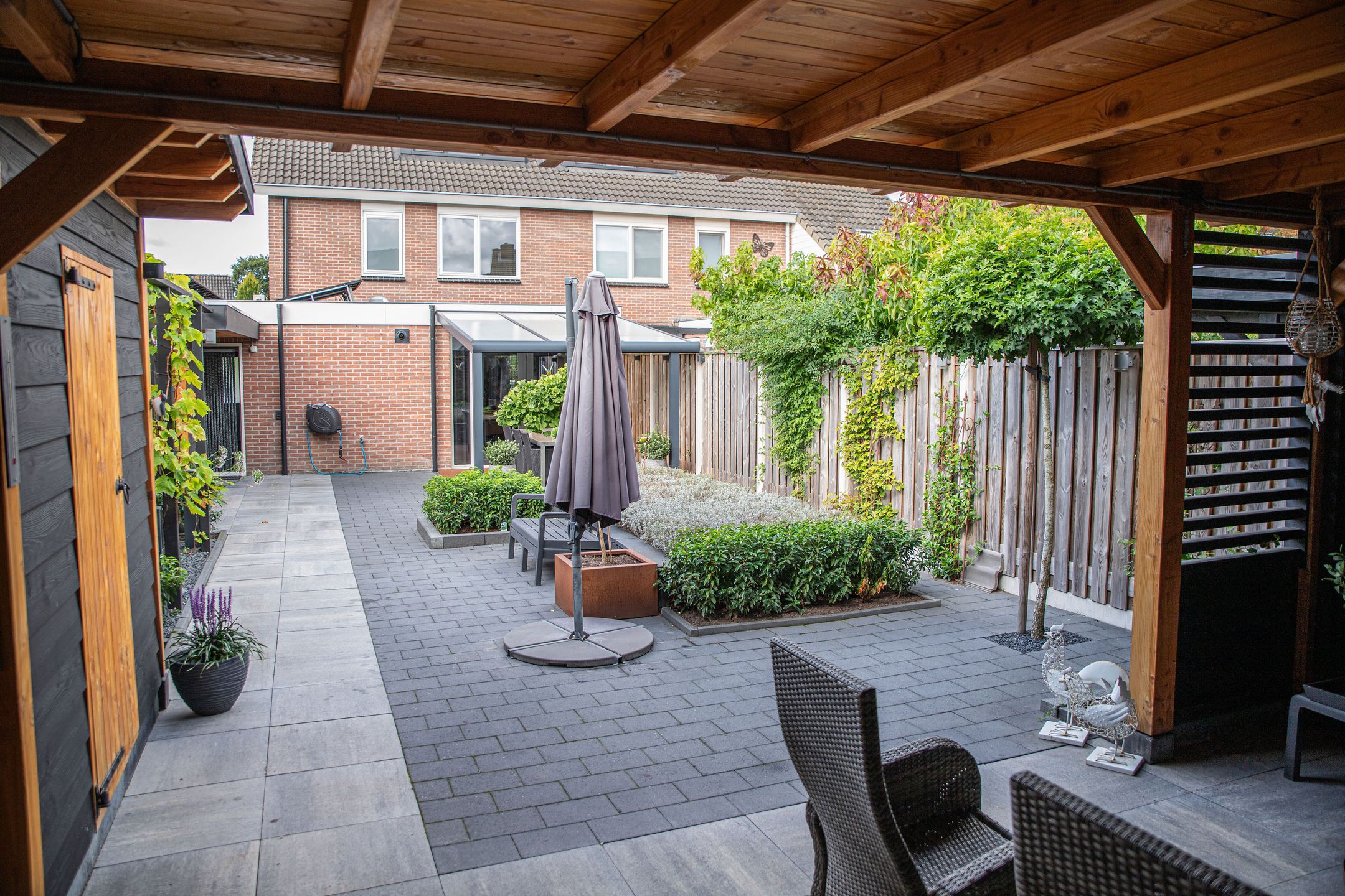 Foto 36 van Hoefblad 10