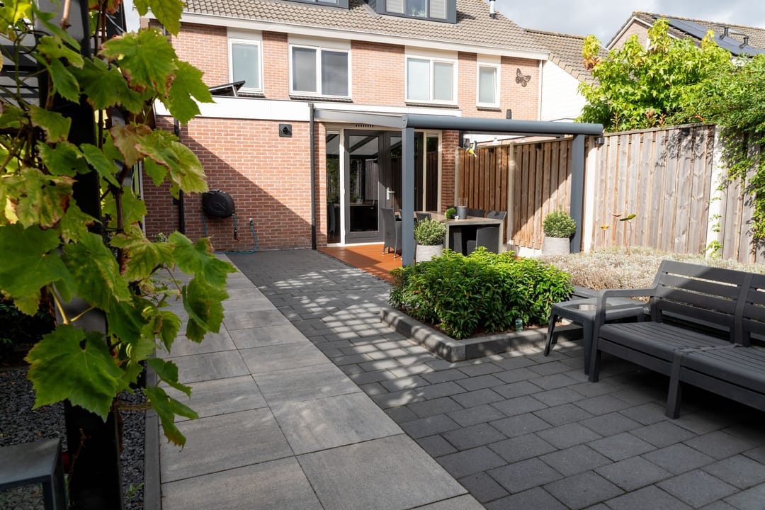 Foto 37 van Hoefblad 10