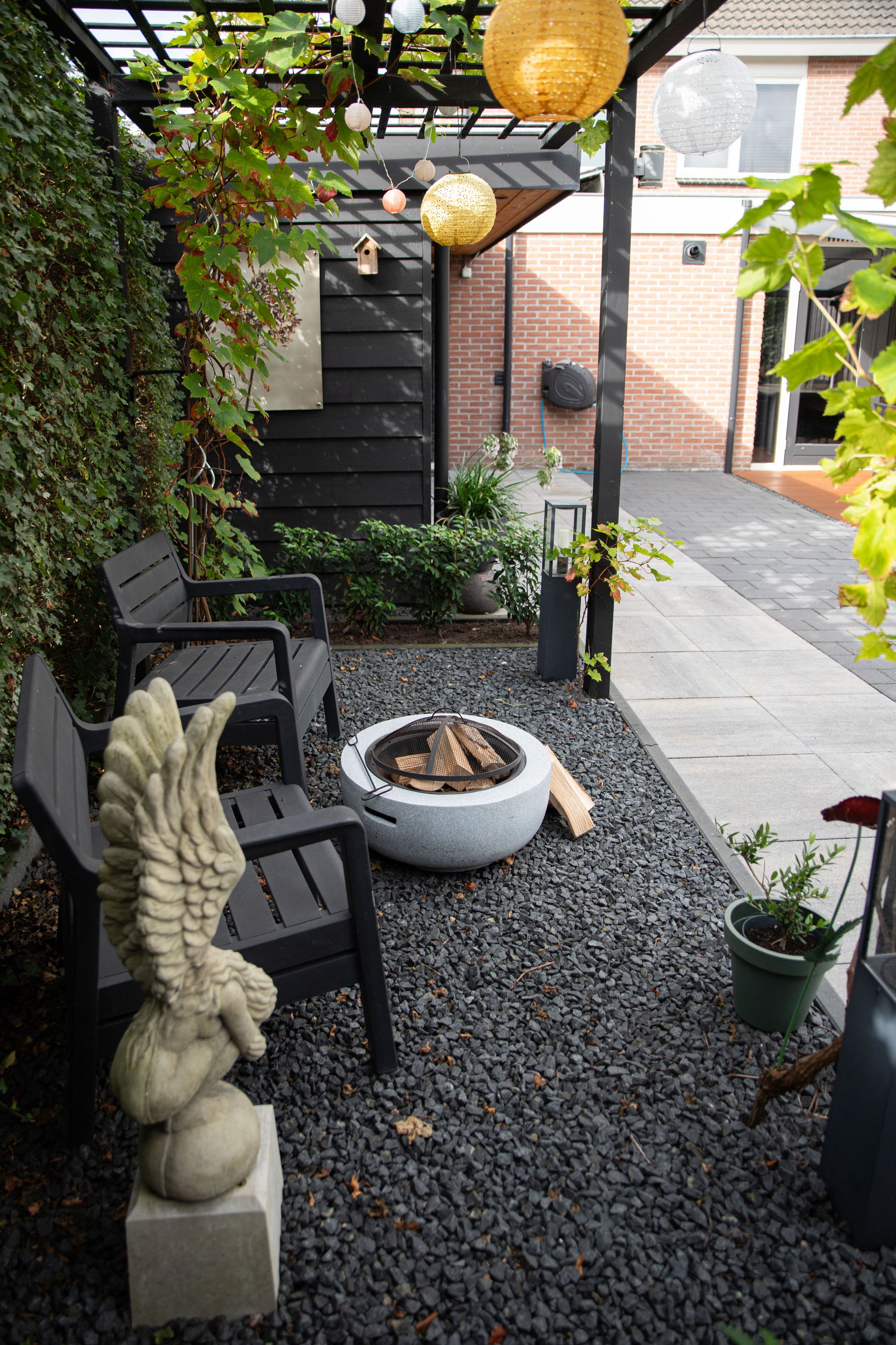 Foto 39 van Hoefblad 10