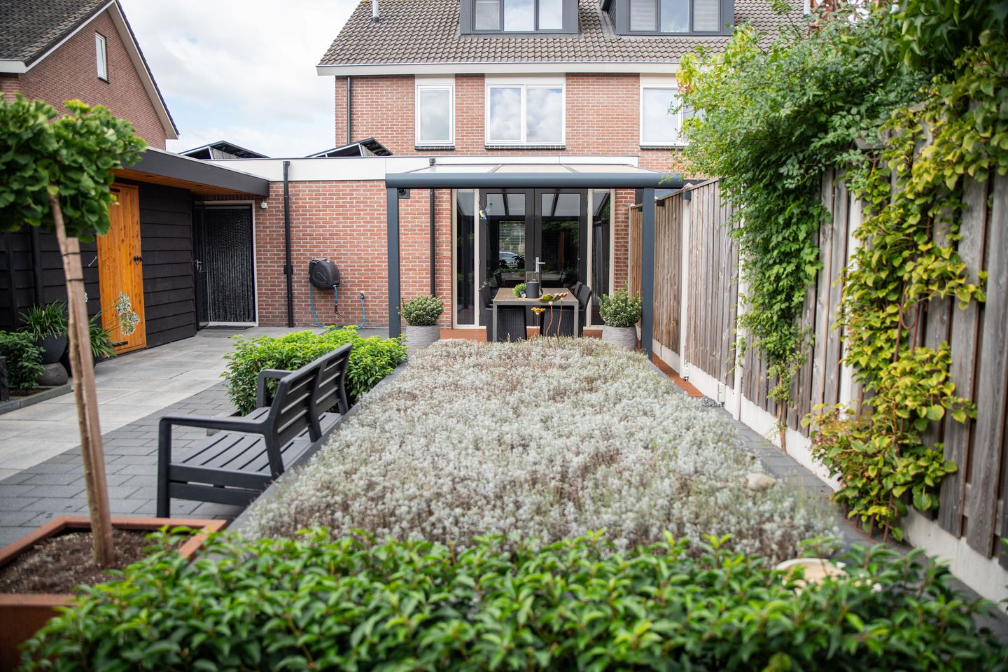 Foto 40 van Hoefblad 10