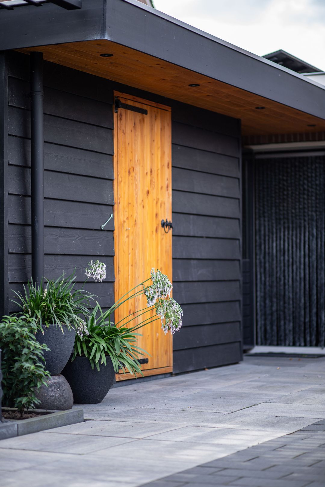 Foto 41 van Hoefblad 10