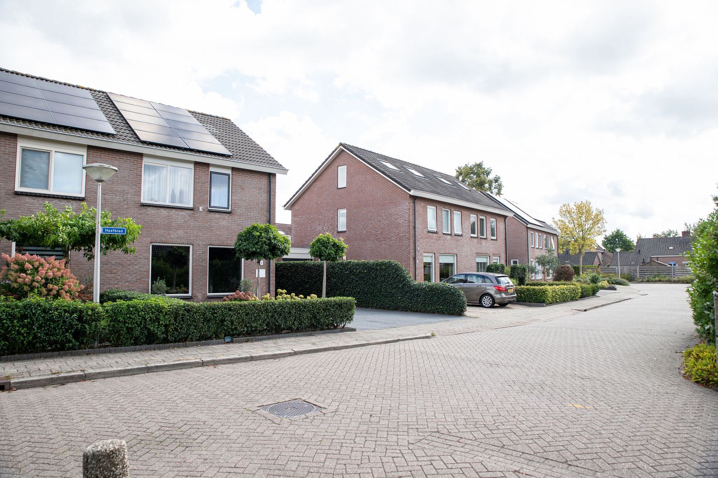 Foto 49 van Hoefblad 10