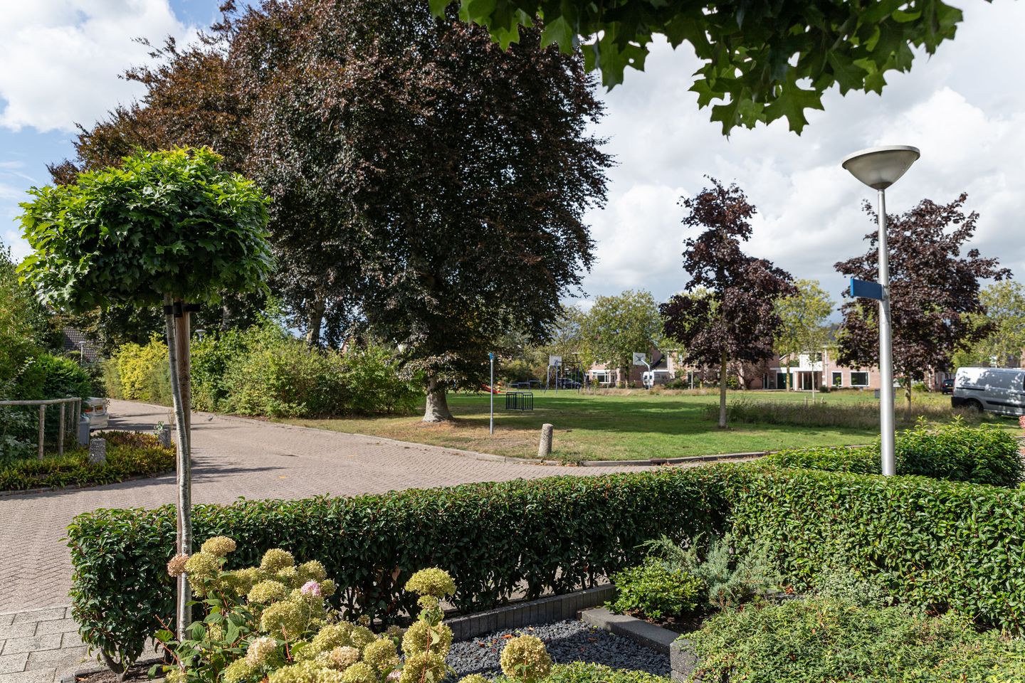 Foto 50 van Hoefblad 10