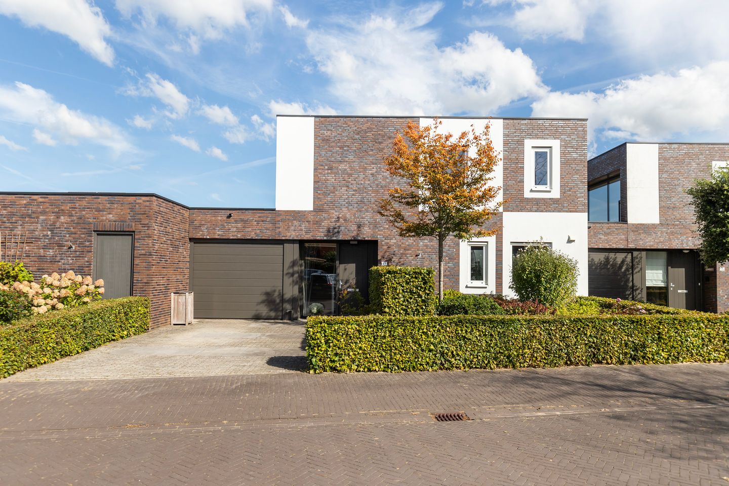 Foto 1 van Citroenvlinder 13