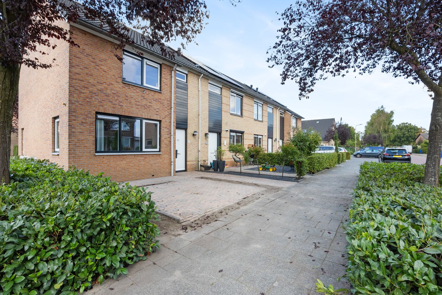 Foto 50 van Ericaweg 38