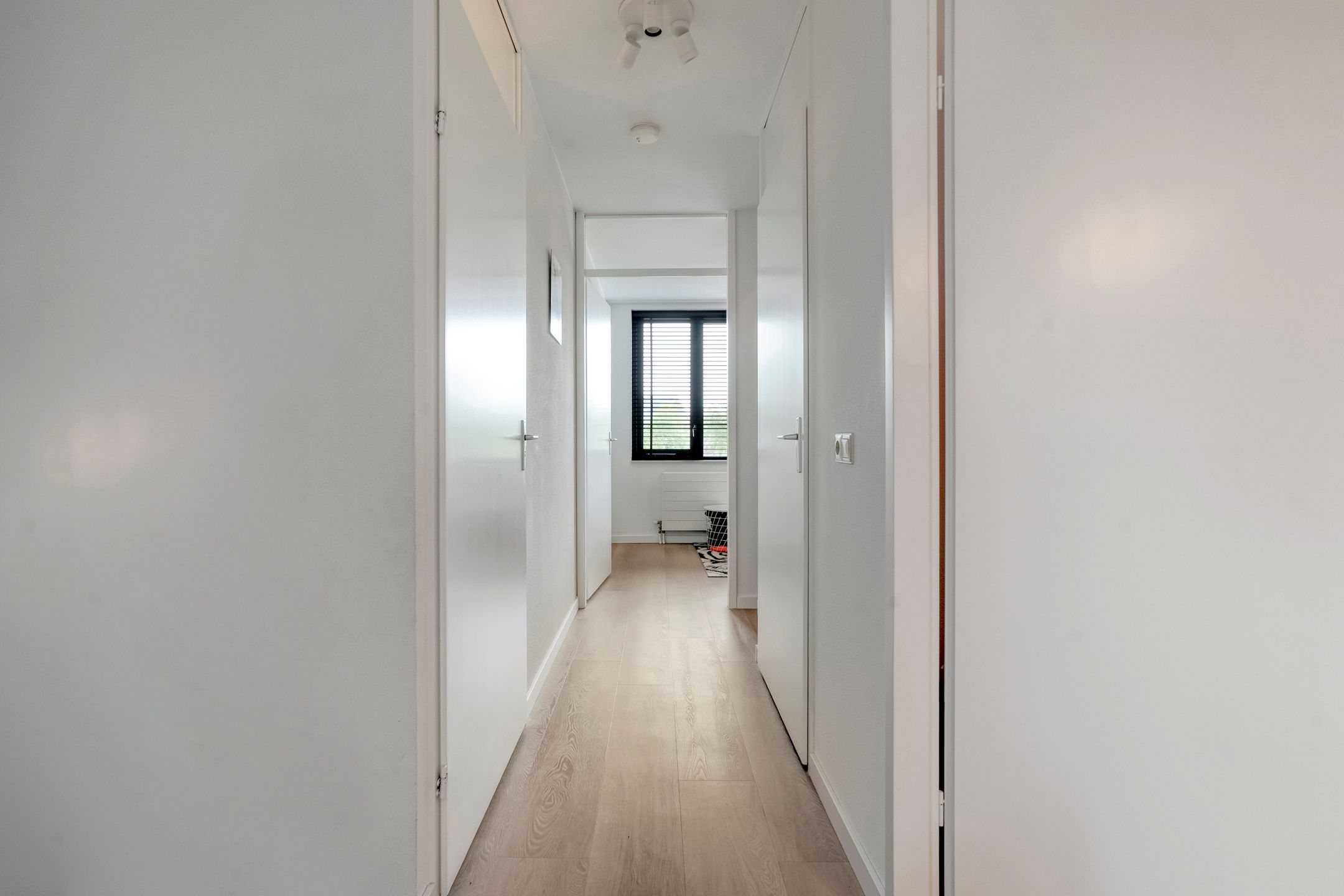 Foto 24 van Rollepaalstraat 1