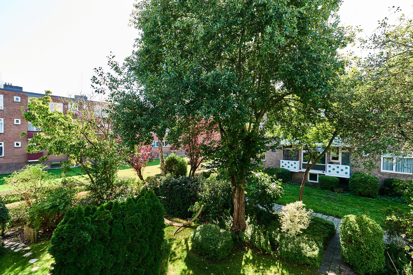 Foto 5 van Paterswoldseweg 444