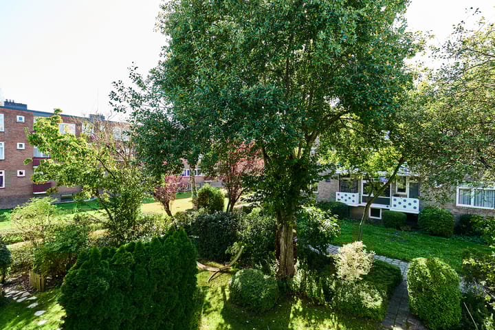 Photo 5 of Paterswoldseweg 444