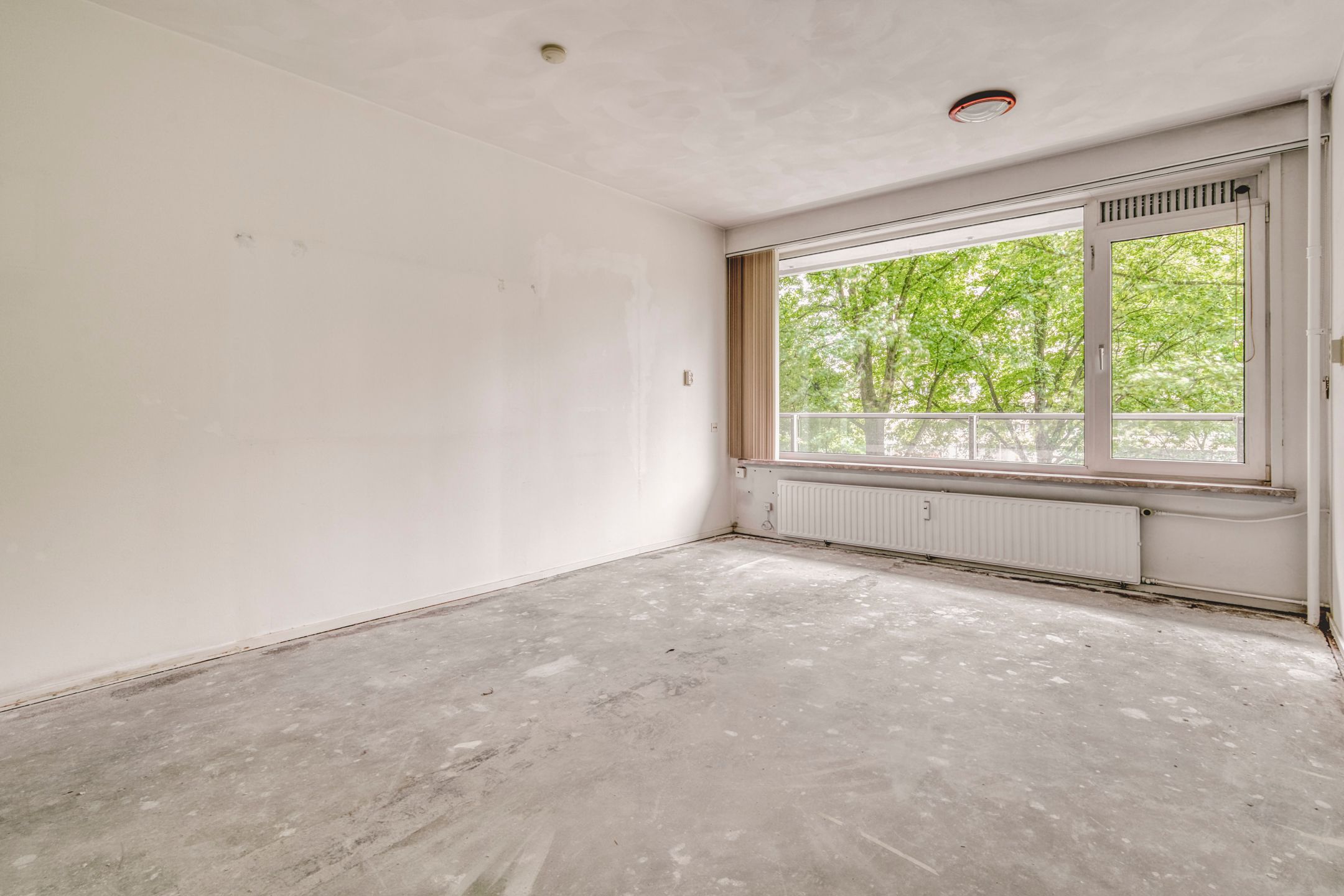 Foto 3 van Langswater 150