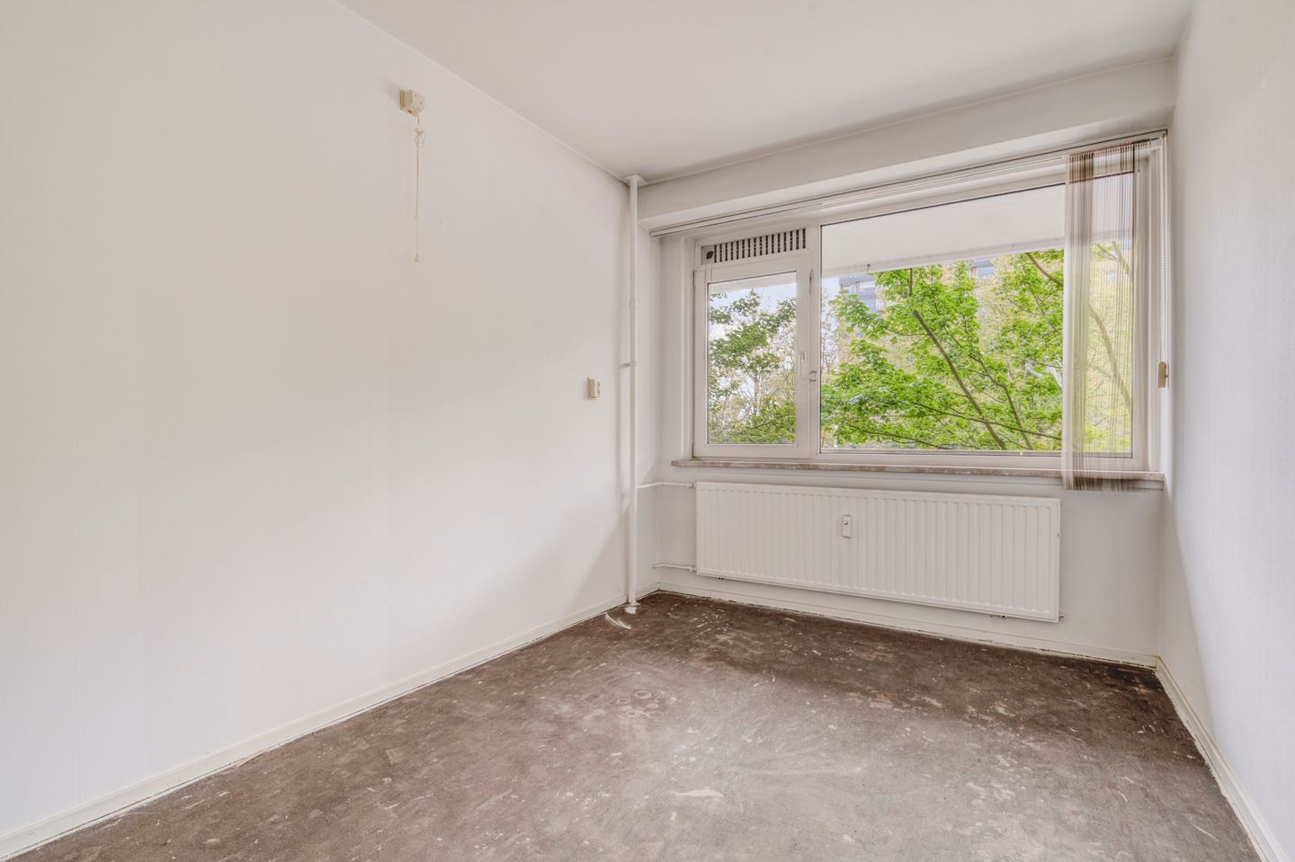 Foto 10 van Langswater 150