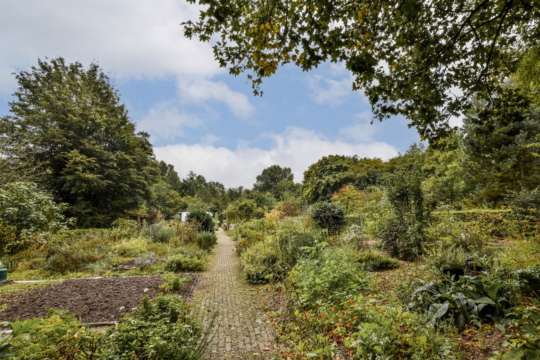 Foto 18 van Leusdenhof 157