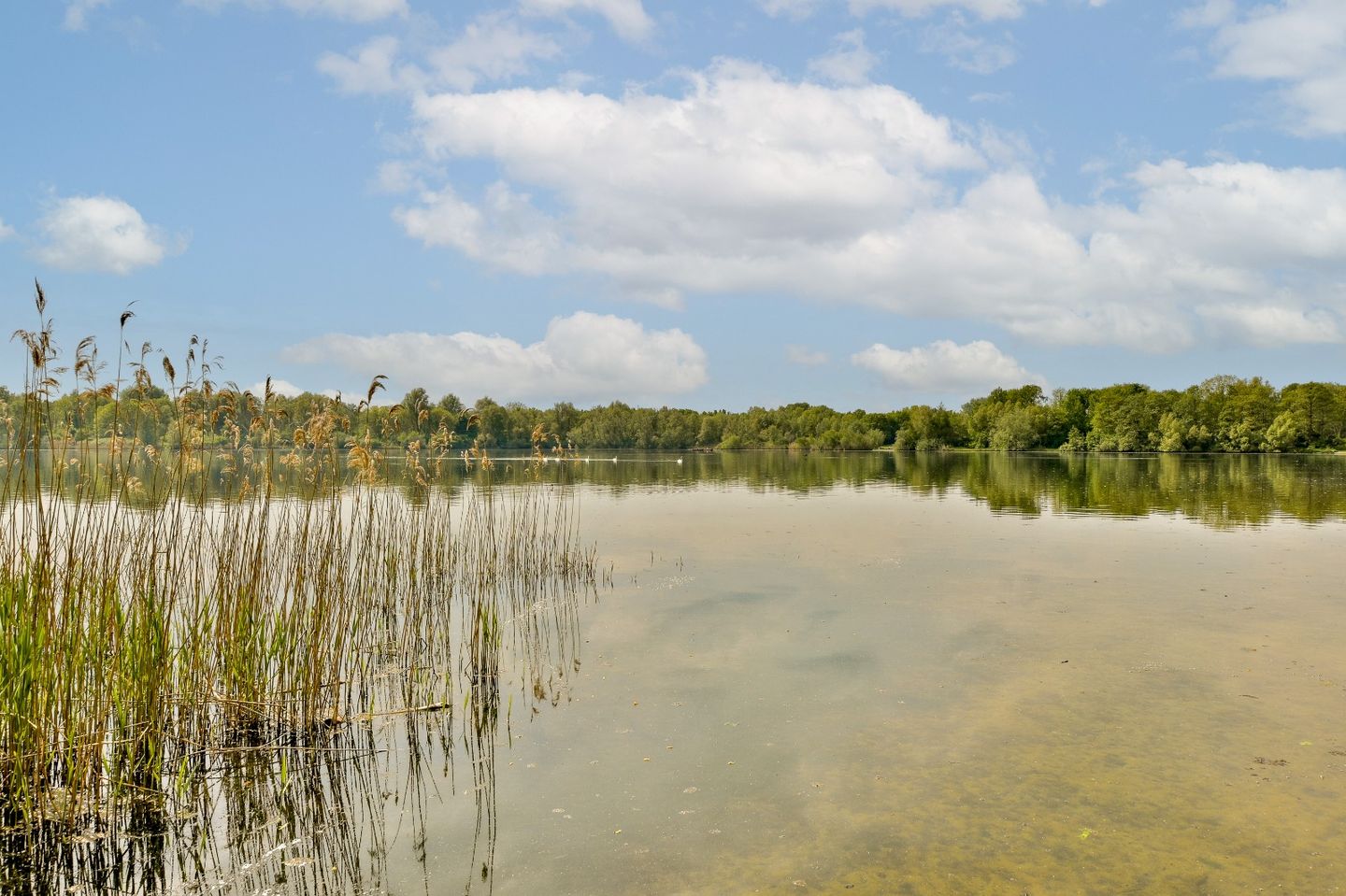 Foto 19 van Leusdenhof 157