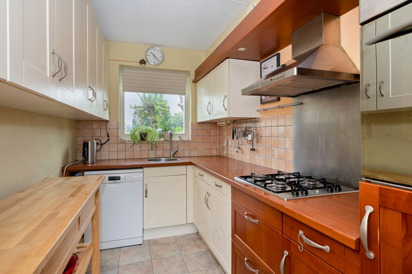 Foto 19 van Rosmeerpad 9