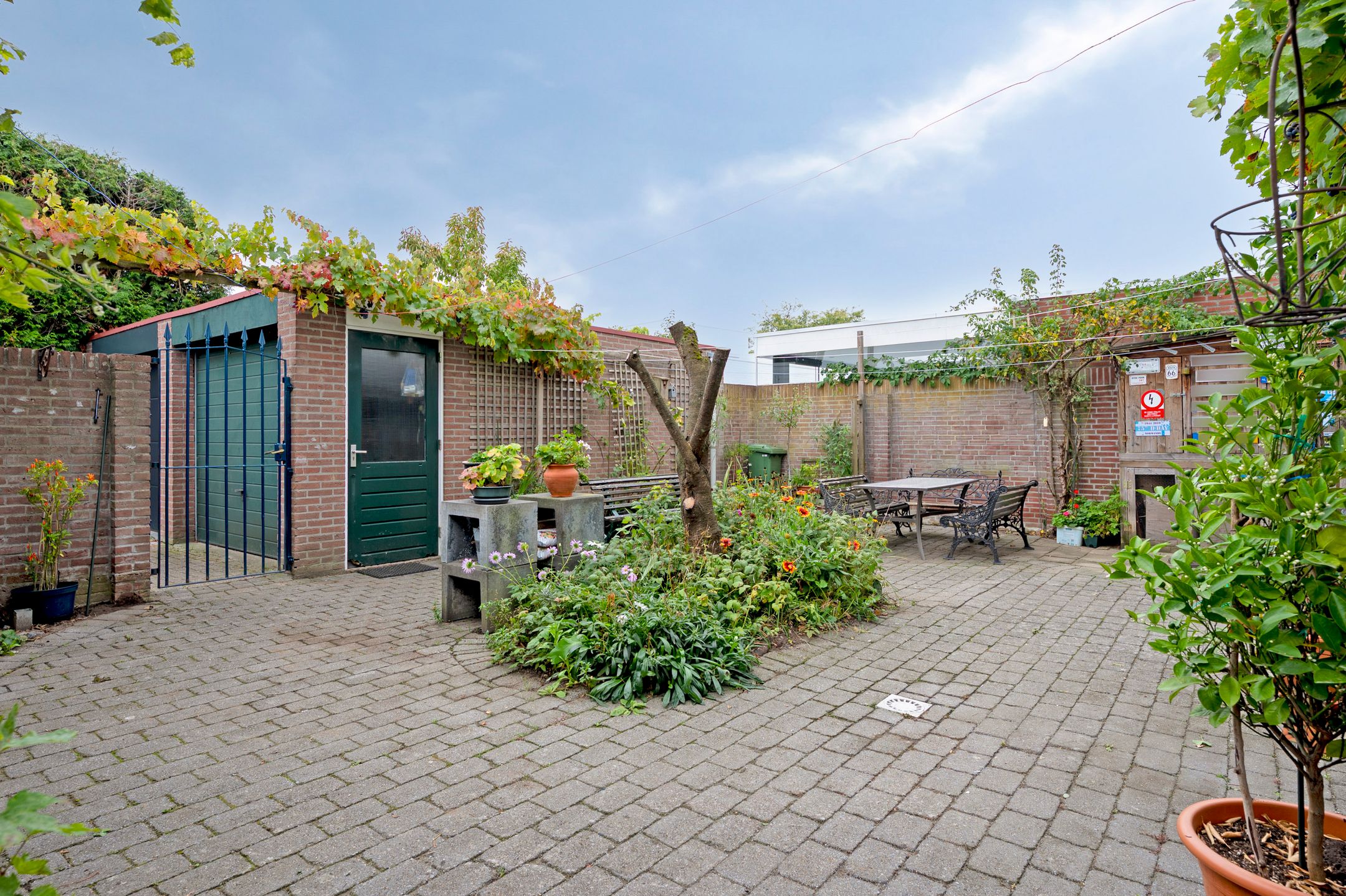 Foto 24 van Rosmeerpad 9