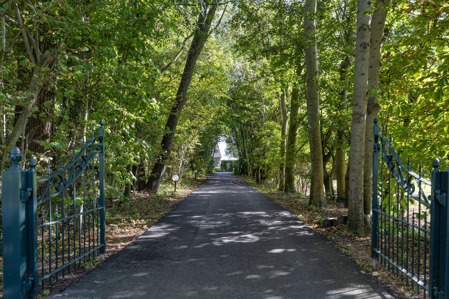 Foto 4 van Arumerweg 84