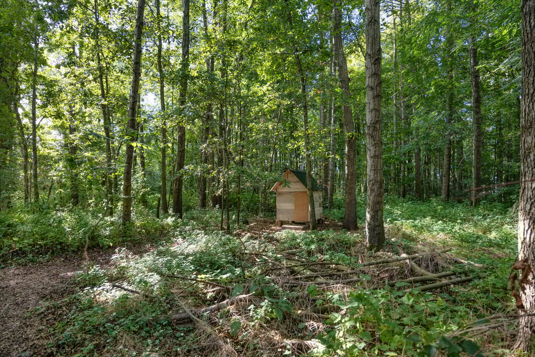 Foto 47 van Arumerweg 84