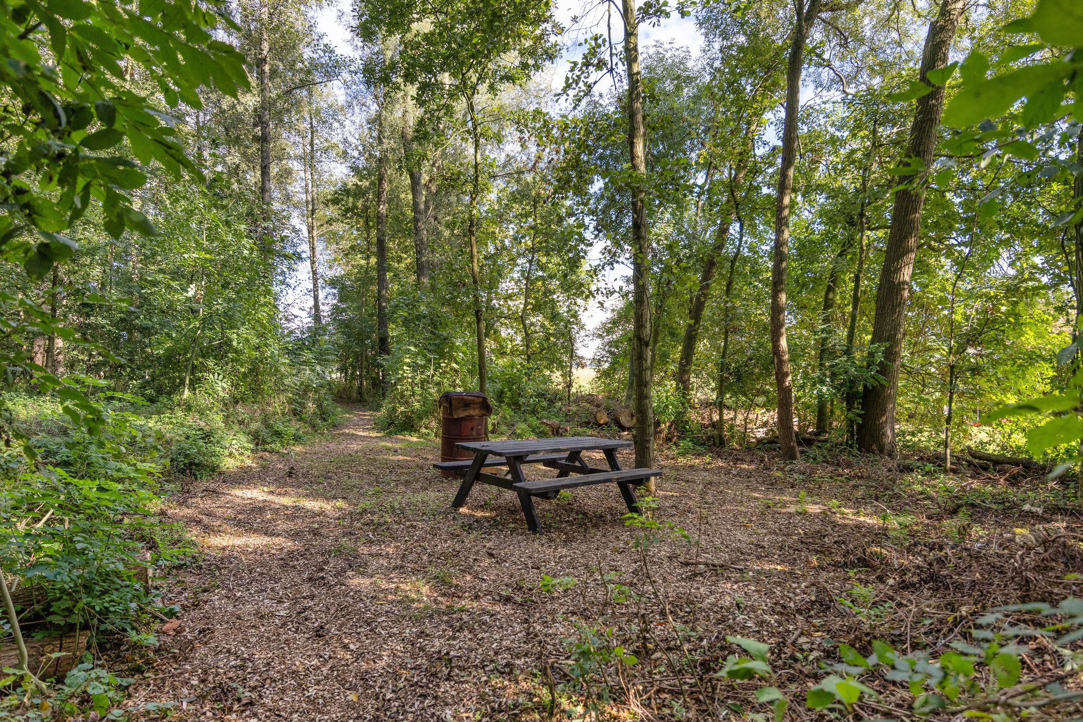 Foto 48 van Arumerweg 84