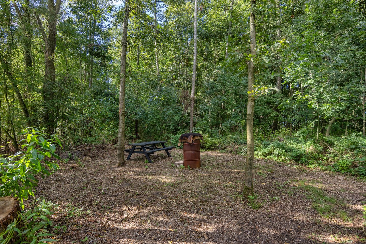 Foto 49 van Arumerweg 84