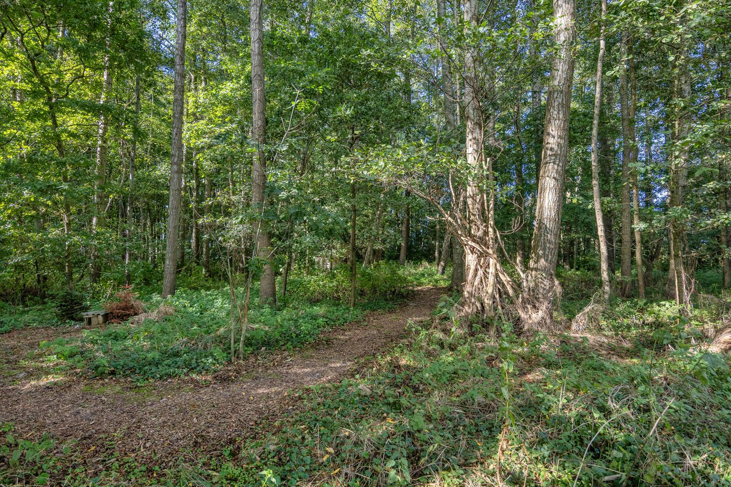 Foto 50 van Arumerweg 84