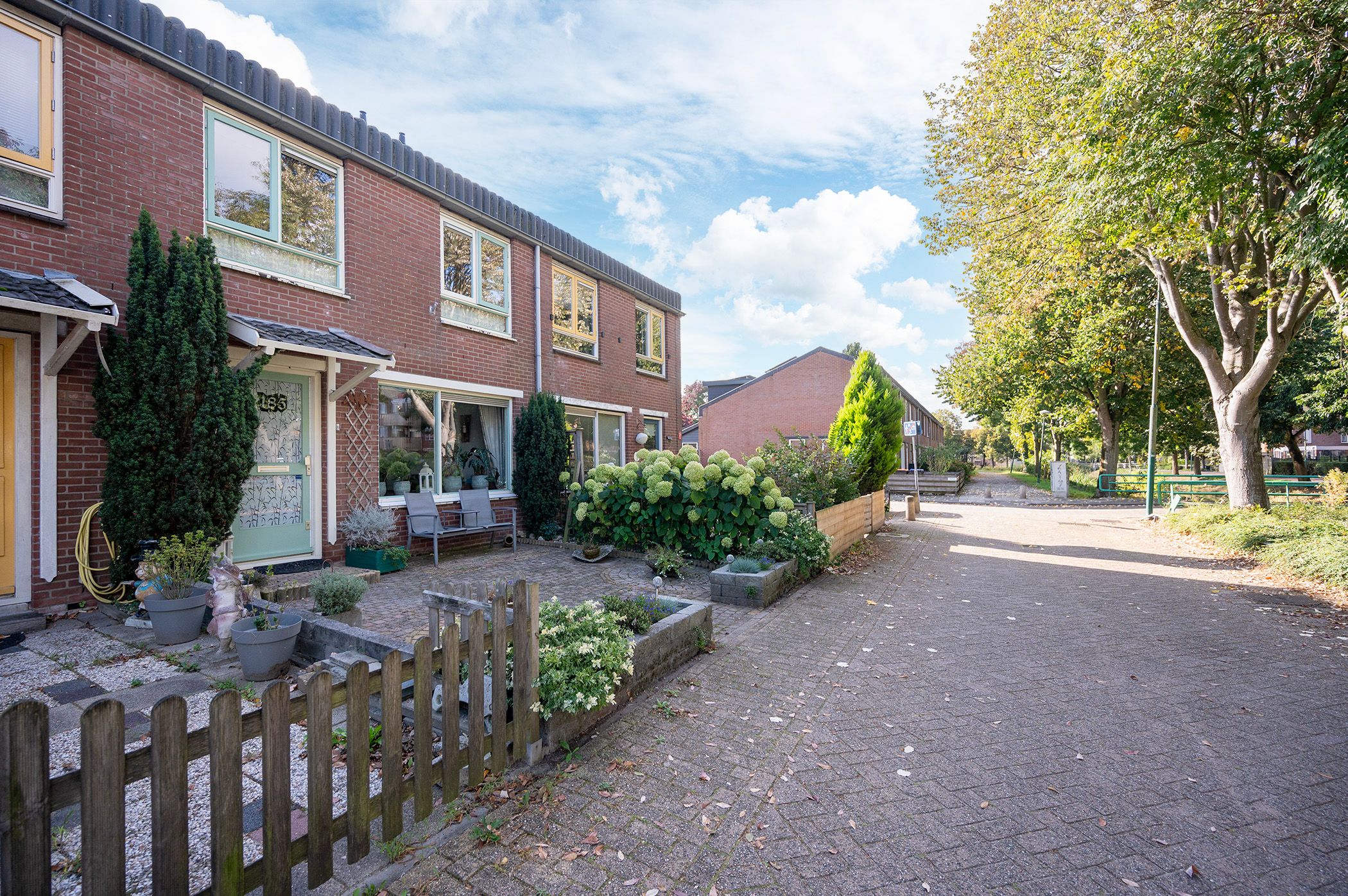 Foto 6 van Zebraspoor 185