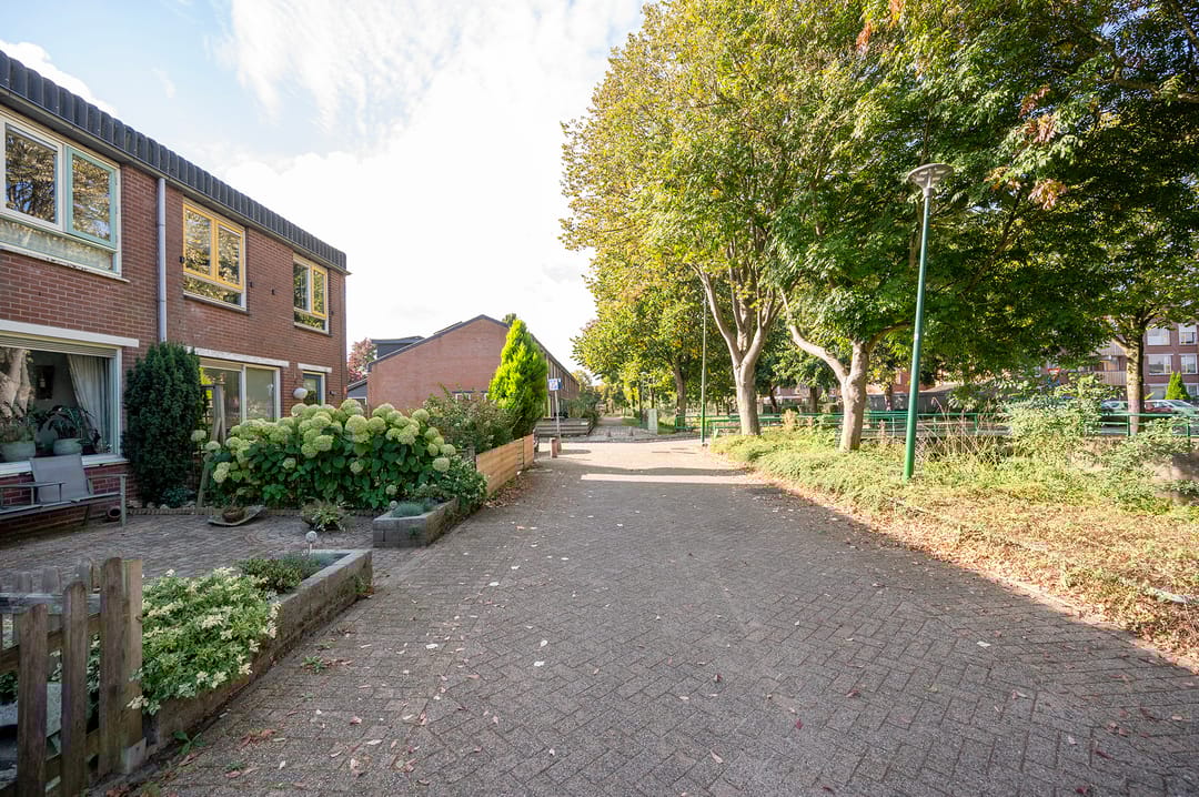 Foto 7 van Zebraspoor 185