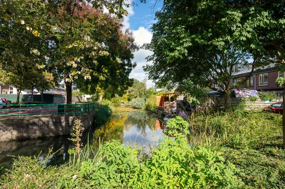 Foto 8 van Zebraspoor 185