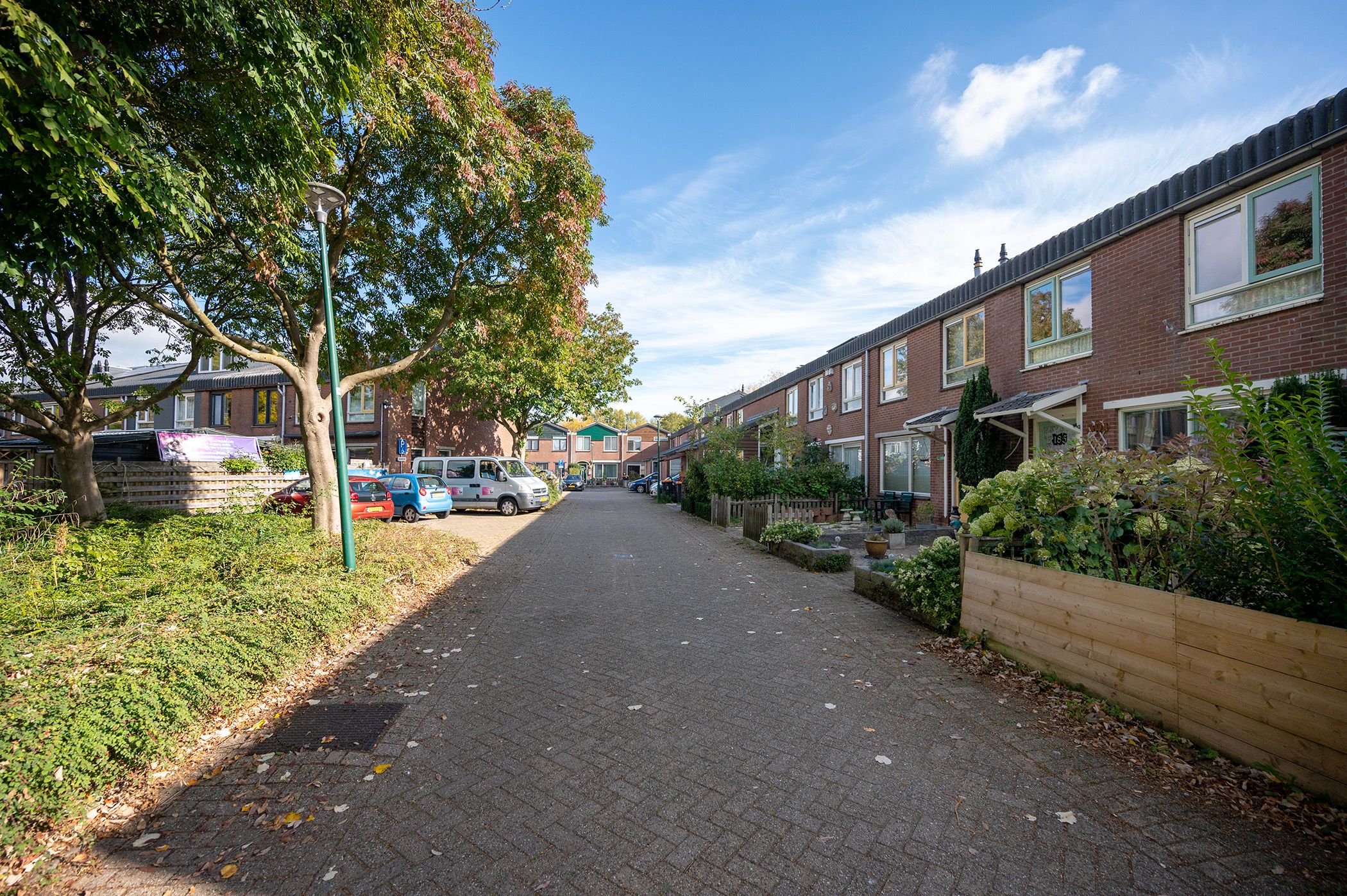 Foto 9 van Zebraspoor 185