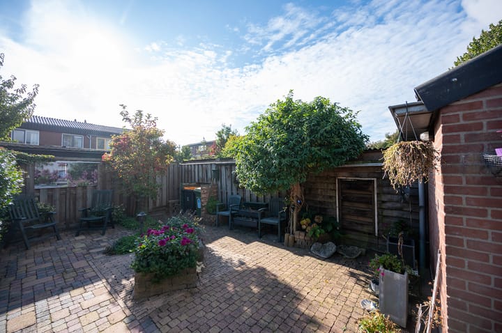 Photo 5 of Zebraspoor 185