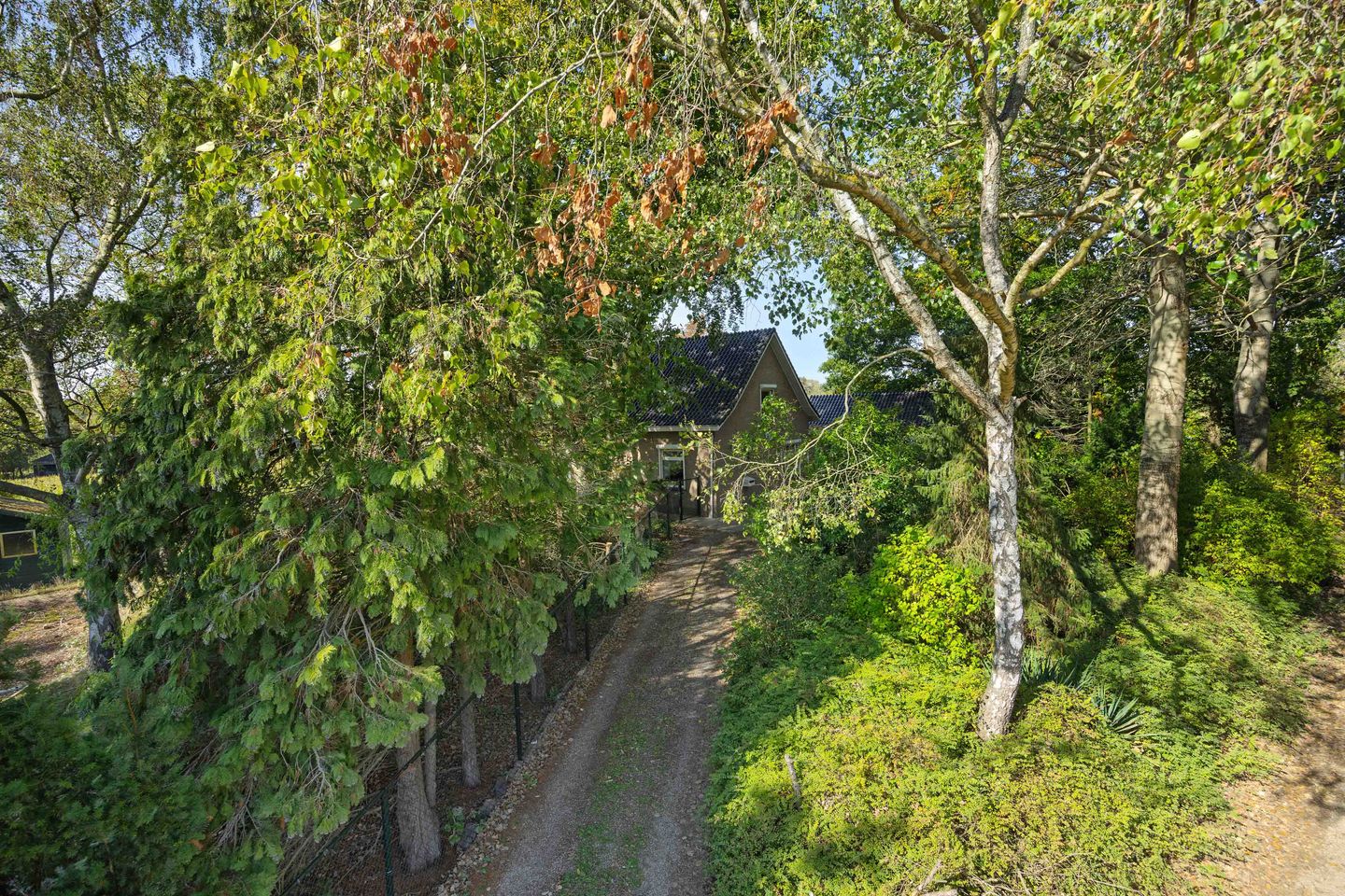 Foto 35 van Willibrordusweg 199