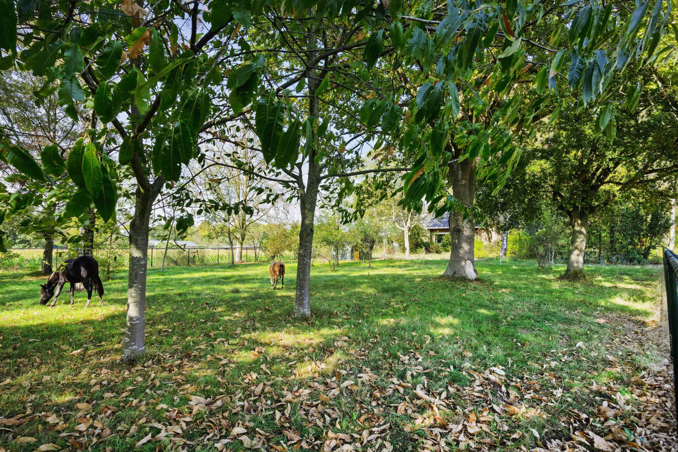 Foto 45 van Willibrordusweg 199