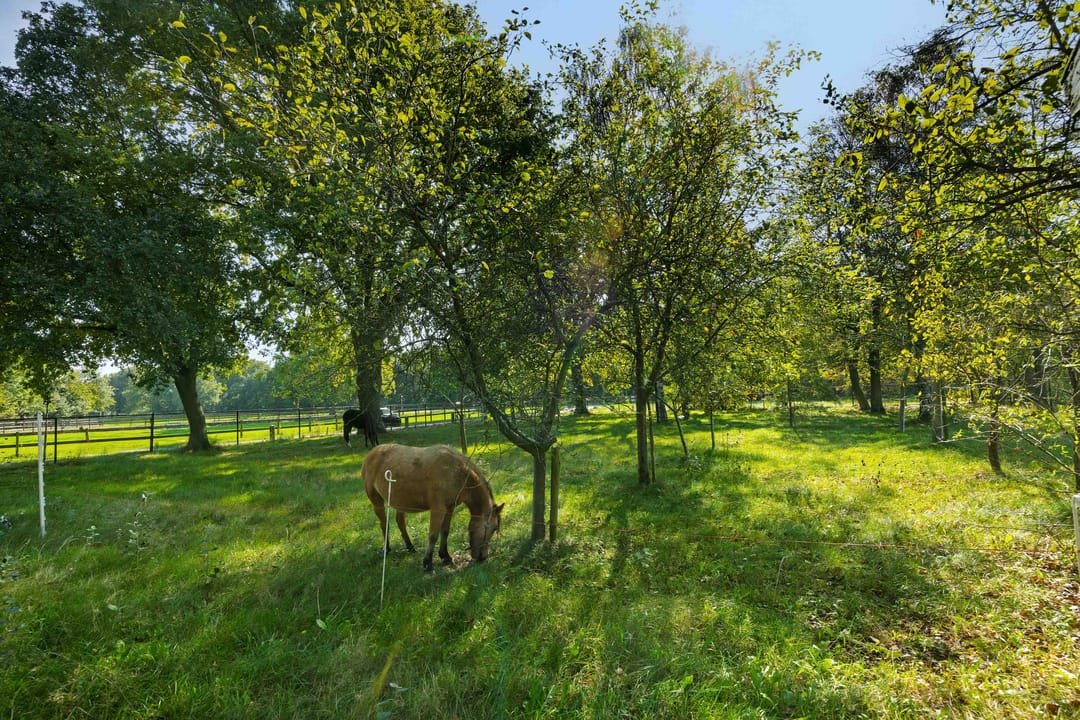 Foto 46 van Willibrordusweg 199