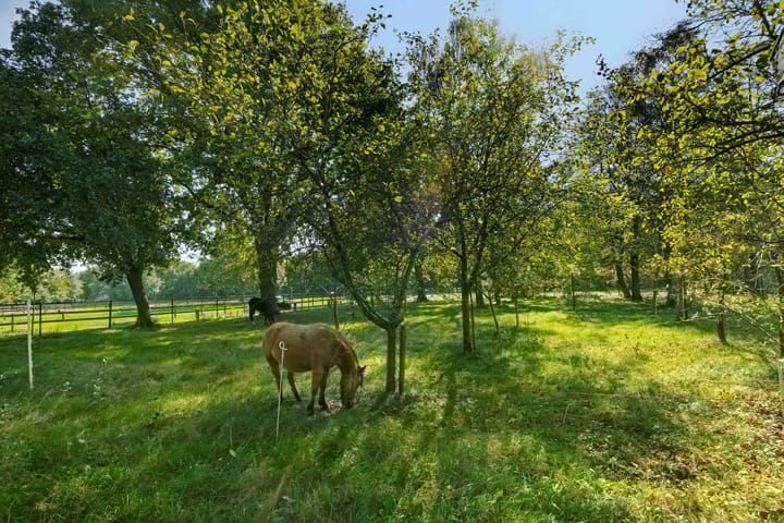 Photo 46 of Willibrordusweg 199