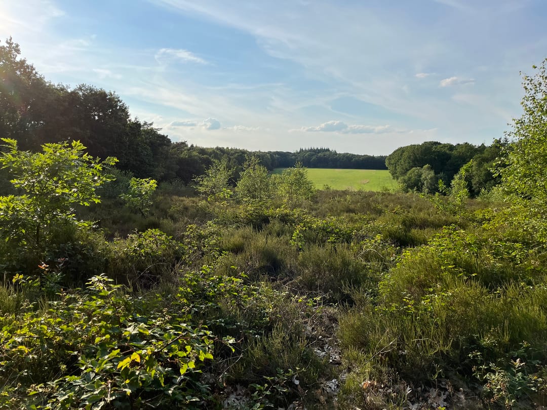 Foto 22 van Immenweg 15-327