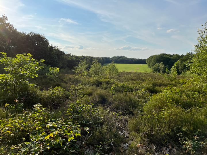 Foto 22 van Immenweg 15-327