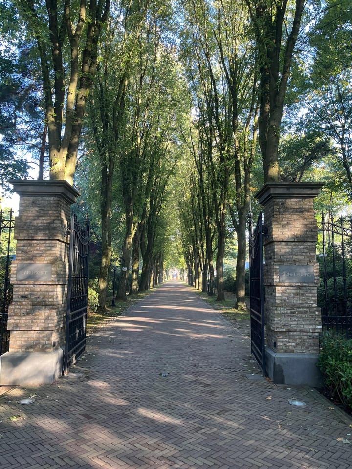 Foto 20 van Immenweg 15-327