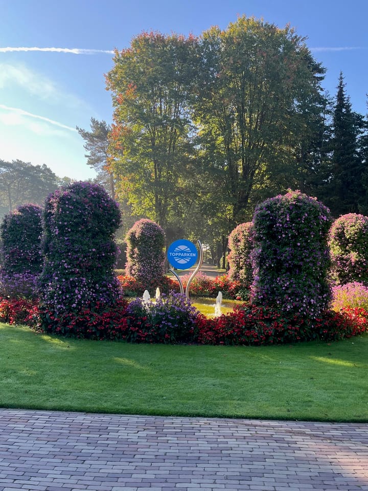 Foto 17 van Immenweg 15-327