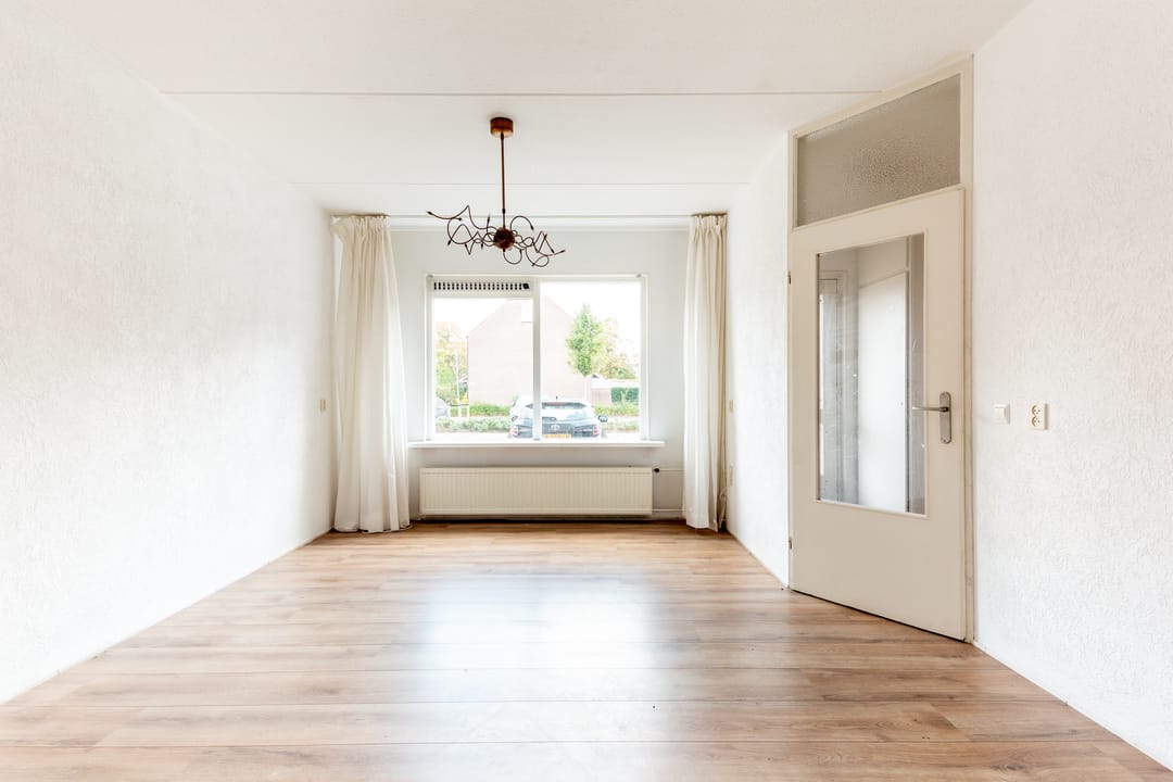 Foto 2 van Hoefblad 164