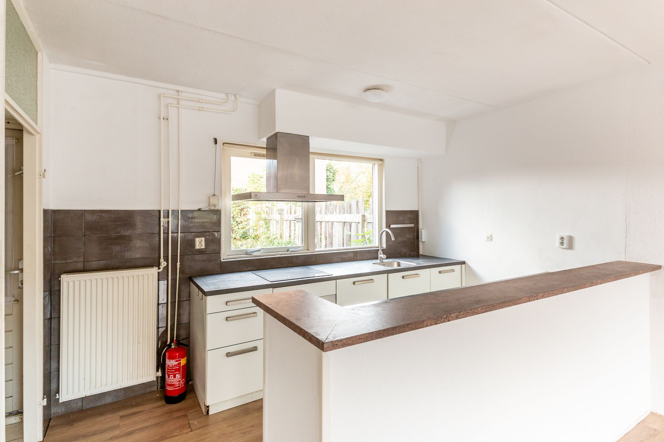 Foto 9 van Hoefblad 164