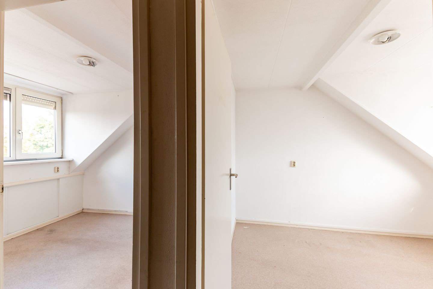 Foto 20 van Hoefblad 164