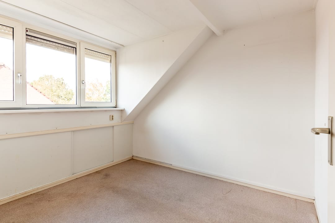 Foto 22 van Hoefblad 164