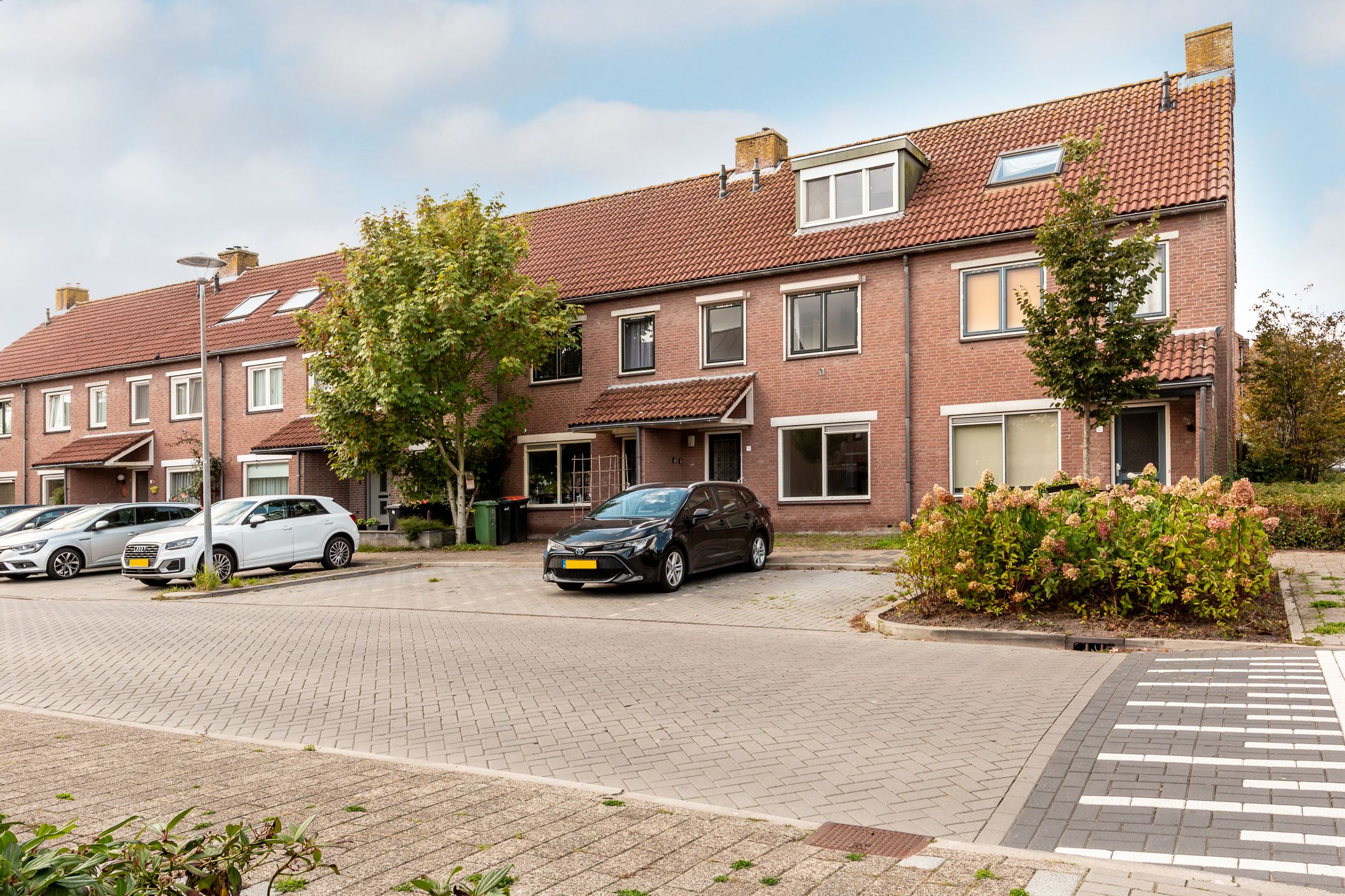 Foto 27 van Hoefblad 164